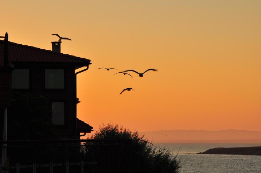 Deep Blue Guest House Sozopol Ngoại thất bức ảnh